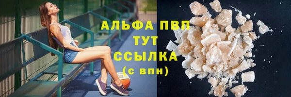 PSILOCYBIN Верхний Тагил