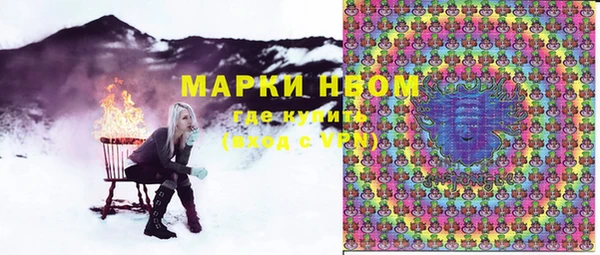 PSILOCYBIN Верхний Тагил