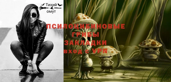 PSILOCYBIN Верхний Тагил