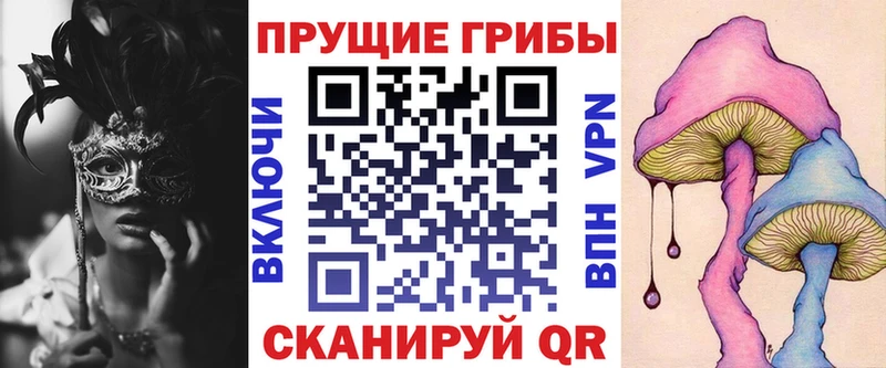 купить наркоту  дарк нет клад  Псилоцибиновые грибы Psilocybine cubensis  Калязин 